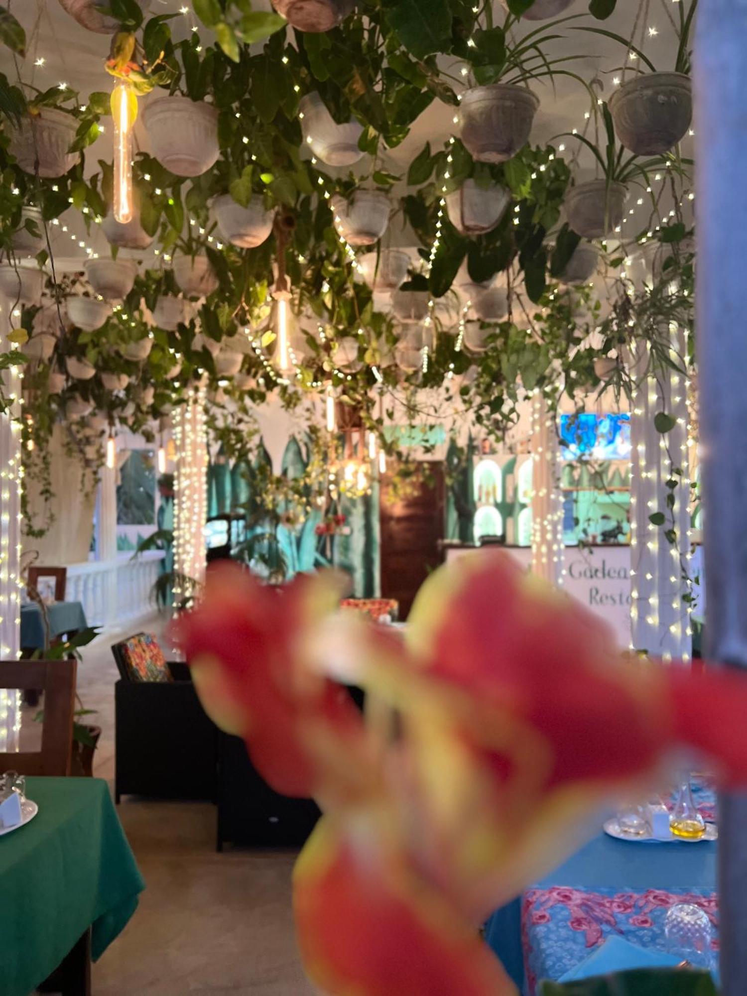 Gadea Boutique Hotel& Gadea Garden Italian Restaurant (adults Only) Jambiani (Zanzibar)