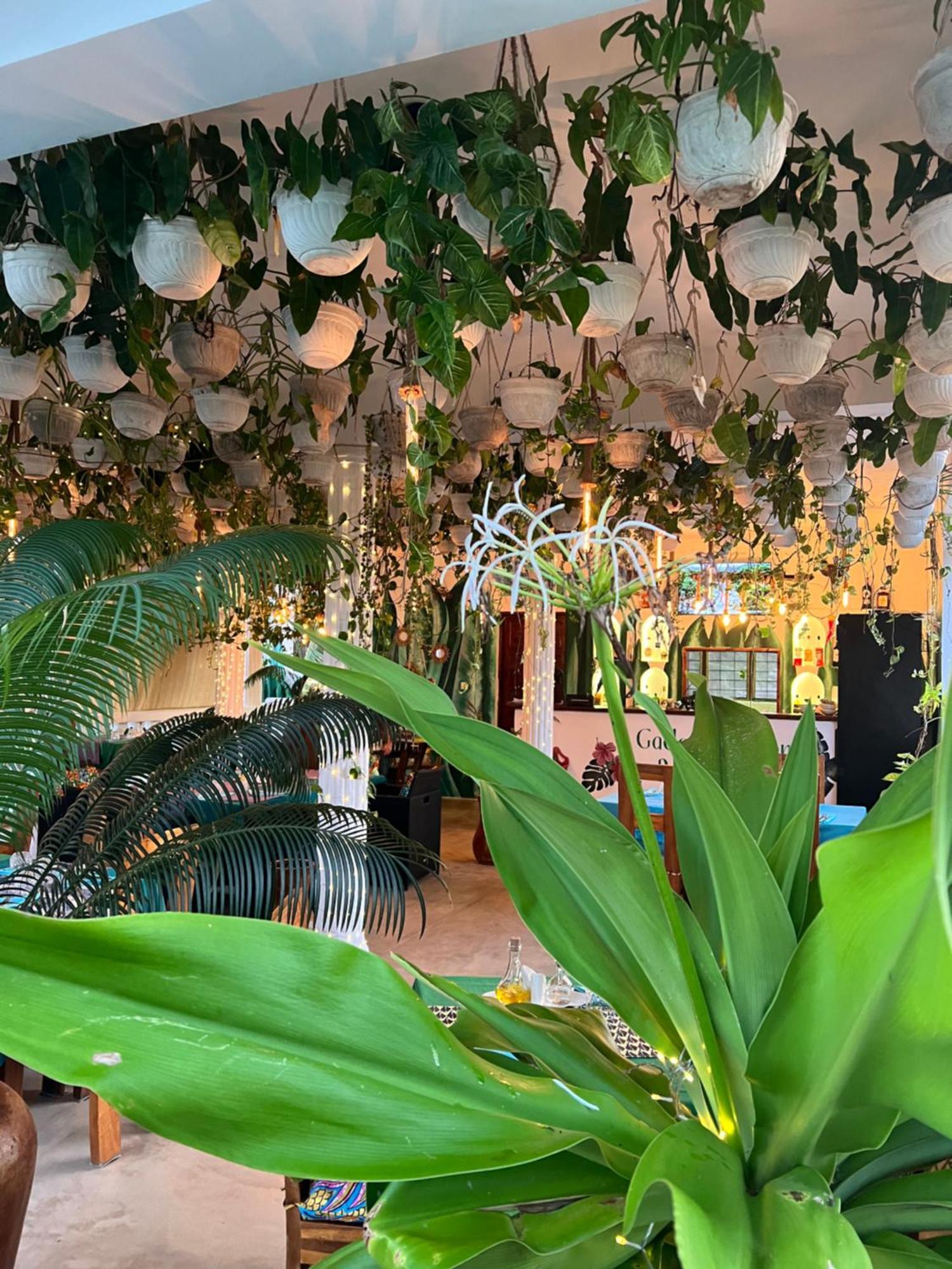 Aparthotel Gadea Boutique Hotel& Gadea Garden Italian Restaurant (adults Only)
