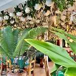 Gadea Boutique Hotel& Gadea Garden Italian Restaurant (Adults Only)