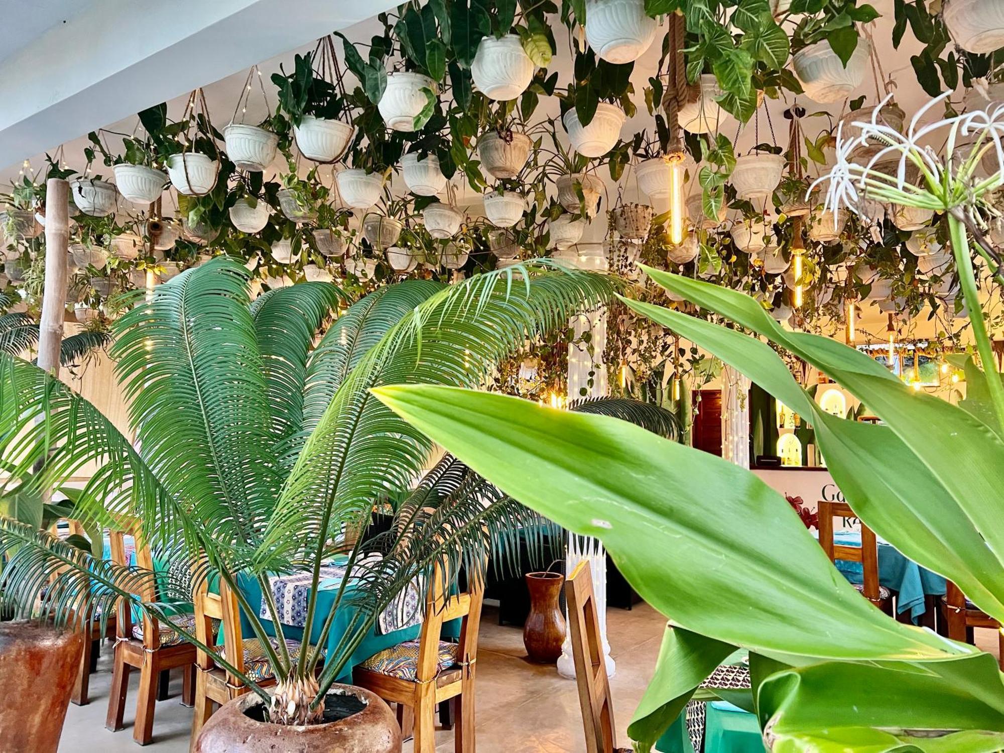 Gadea Boutique Hotel& Gadea Garden Italian Restaurant (adults Only) 2* Jambiani (Zanzibar)