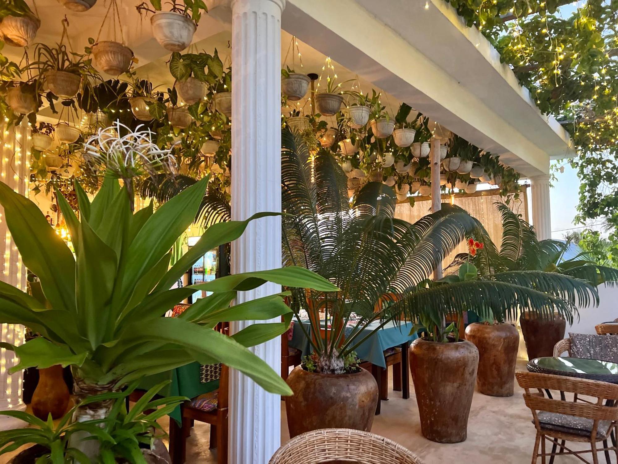 Gadea Boutique Hotel& Gadea Garden Italian Restaurant (adults Only) Hotel apartamentowy 2*