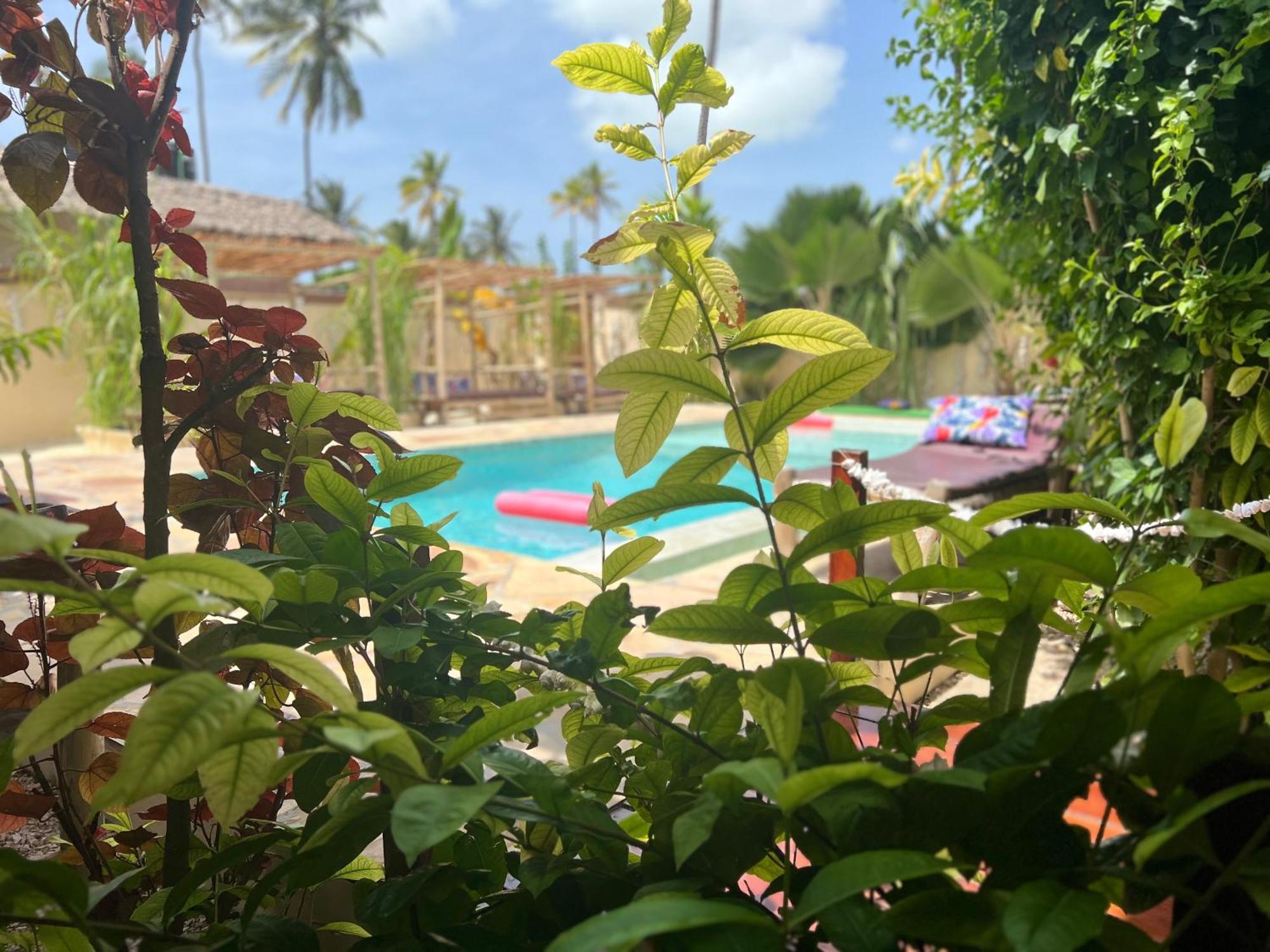 Gadea Boutique Hotel& Gadea Garden Italian Restaurant (adults Only) Hotel apartamentowy 2*